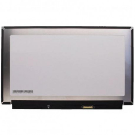 Display-ul notebook-ului Kompatibilní N133HCE-EN2 Rev.C1 12,5“ 30pin 60Hz FHD LED Slim - Mată