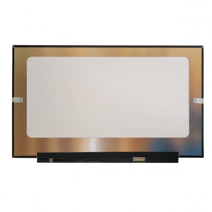Display-ul notebook-ului Acer Aspire 17 (A17-51M-31ZG)17,3“ 30pin eDP Full HD LED - Mat