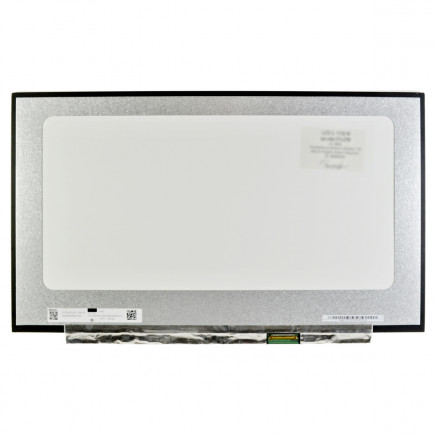Display-ul notebook-ului Kompatibilní N173HCE-G3C 17,3“ 40pin IPS 120Hz FHD LED - Mată
